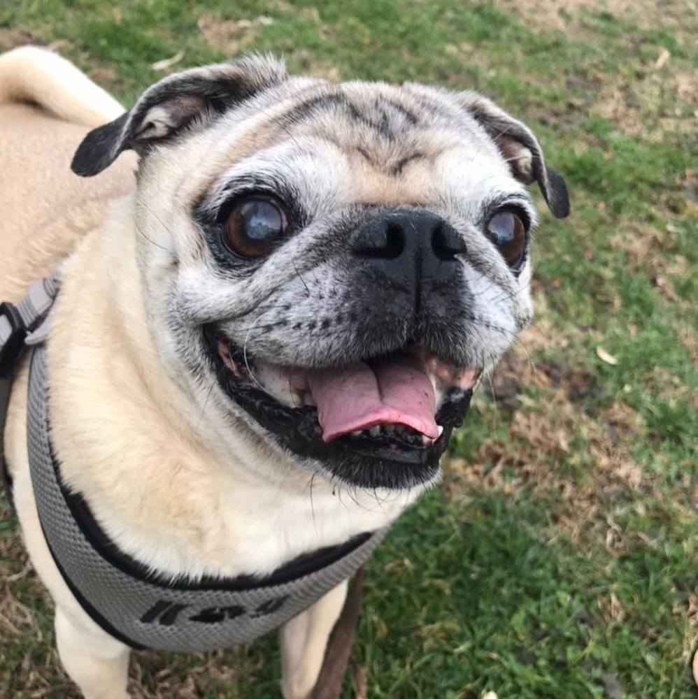 Meet your Posher, Krysta